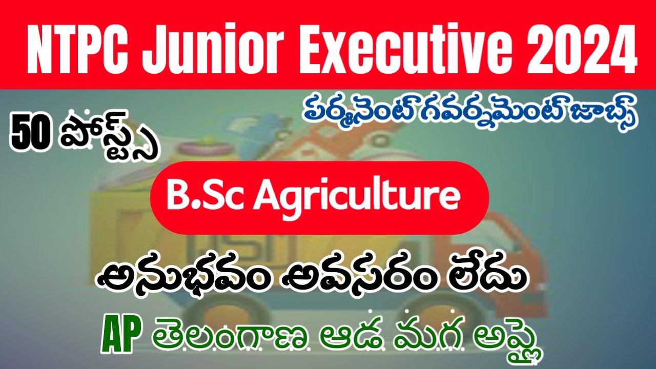 NTPC Junior Executive Recruitment 2024 Apply Online - EJC Official
